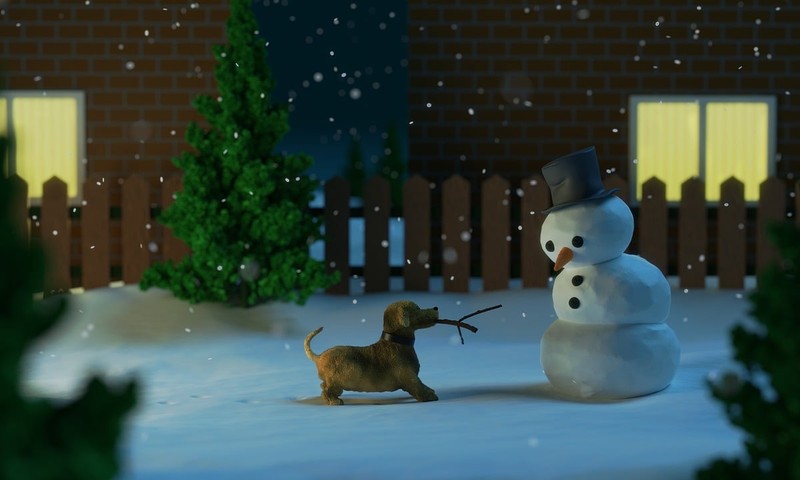 哈士奇：热情活泼的北方犬种