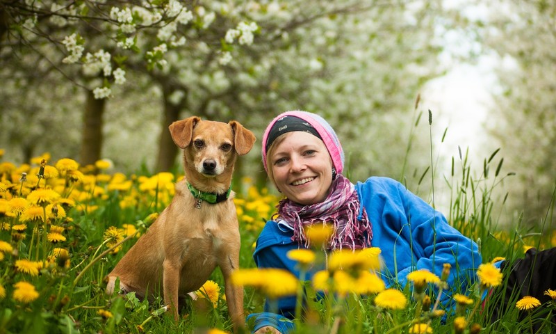 猫咪常见的肠胃问题：症状、预防和护理指南